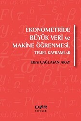 Ekonometride Büyük Veri ve Makine Öğrenmesi - 1