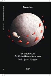 En Uzun Gün En Uzun Geceyi Ararken - 1