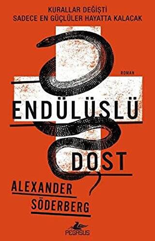 Endülüslü Dost - 1