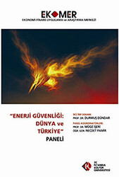 Enerji Güvenliği : Dünya ve Türkiye Paneli 2010 - 1
