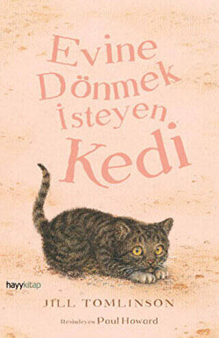 Evine Dönmek İsteyen Kedi - 1