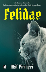 Felidae - 1