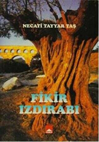 Fikir Izdırabı - 1