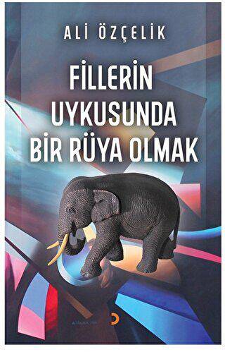 Fillerin Uykusunda Bir Rüya Olmak - 1