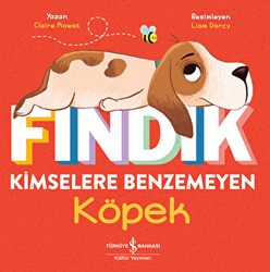 Fındık Kimselere Benzemeyen Köpek - 1