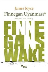 Finnegan Uyanması - 1