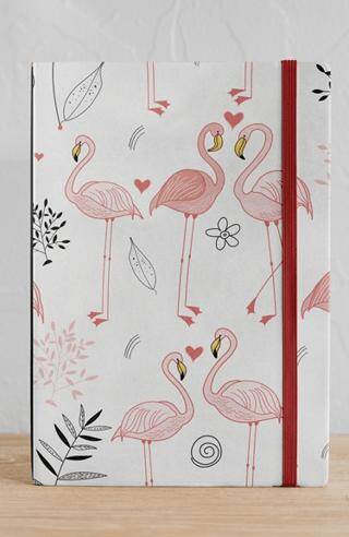 Flamingo - 1