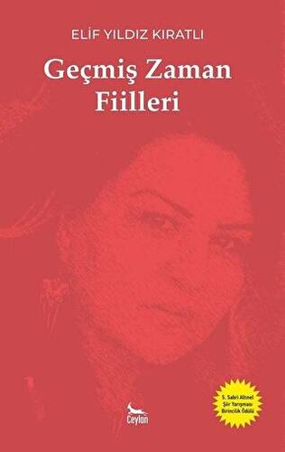 Geçmiş Zaman Fiilleri - 1