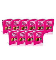 Geleneksel Türk Çocuk Oyunları 10 Cilt Takım - Altınordu Yayınları