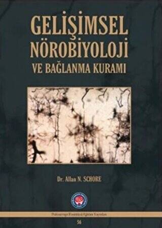 Gelişimsel Nörobiyoloji ve Bağlanma Kuramı - 1