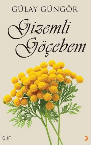 Gizemli Göçebem - 1