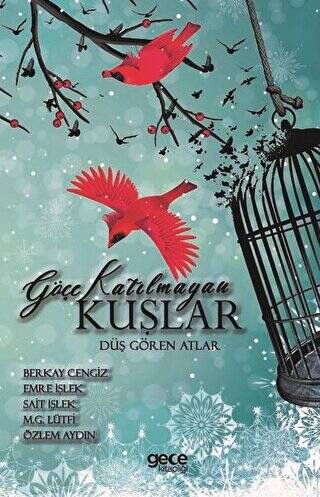Göçe Katılmayan Kuşlar - 1