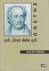 Goethe: Işık... Biraz Daha Işık - 1