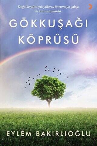 Gökkuşağı Köprüsü - 1