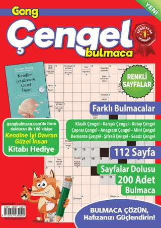 Gong Çengel Bulmaca 13 - 1
