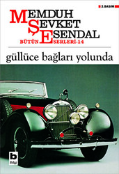 Güllüce Bağları Yolunda - 1