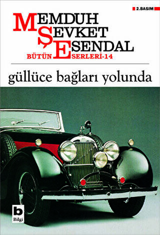 Güllüce Bağları Yolunda - 1