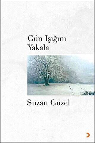 Gün Işığını Yakala - 1