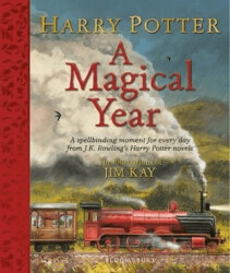 Harry Potter - A Magical Year - 1