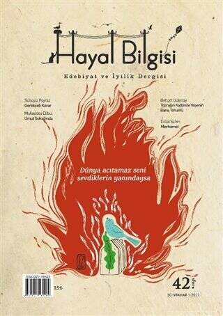 Hayal Bilgisi Dergisi Sayı: 42 - 1