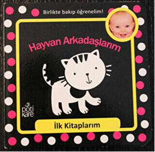 Hayvan Arkadaşlarım - İlk Kitaplarım Serisi - 1
