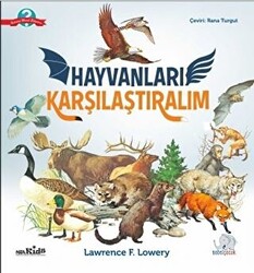 Hayvanları Karşılaştıralım - 1