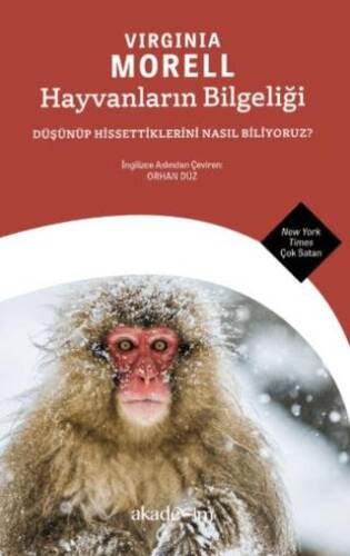 Hayvanların Bilgeliği: Düşünüp Hissettiklerini Nasıl Biliyoruz? - 1