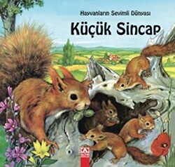 Hayvanların Sevimli Dünyası Küçük Sincap - 1