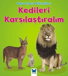 Hayvanlarla Etkinlikler - Kedileri Karşılaştıralım - 1