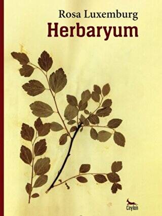 Herbaryum - 1