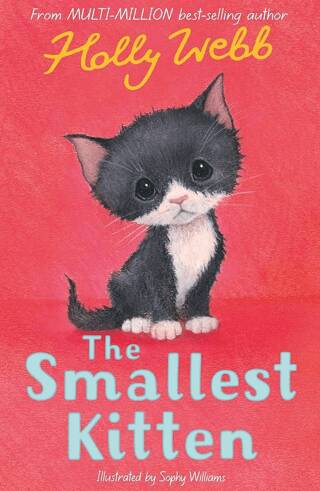 Holly Webb Animal Stories: The Smallest Kitten - 1