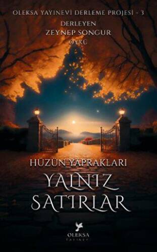 Hüzün Yaprakları Yalnız Satırlar - 1