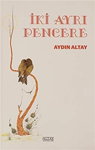 İki Ayrı Pencere - 1