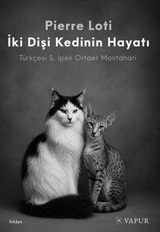 İki Dişi Kedinin Hayatı - 1