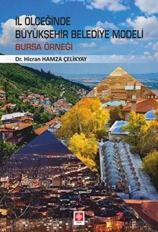 İl Ölçeğinde Büyükşehir Belediye Modeli: Bursa Örneği - 1