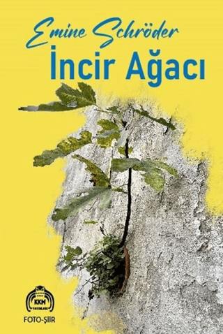 İncir Ağacı - 1