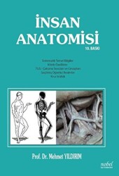 İnsan Anatomisi - 1