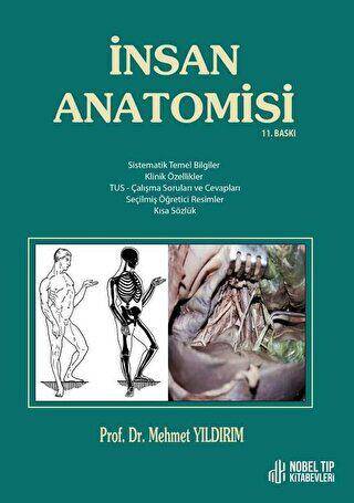 İnsan Anatomisi - 1