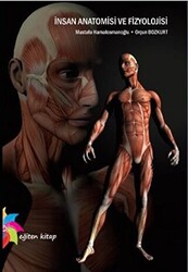 İnsan Anatomisi ve Fizyolojisi - 1
