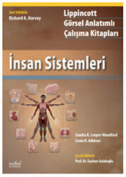 İnsan Sistemleri - 1