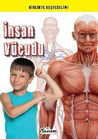 İnsan Vücudu - 1
