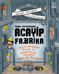 İnsan Vücudundaki Acayip Fabrika - İthaki Çocuk Yayınları