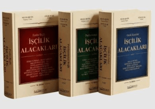 İşçilik Alacakları 3 Cilt - 1
