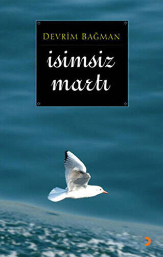 İsimsiz Martı - 1