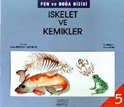 İskelet ve Kemikler - 1