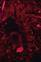 Islak Hüzün - Masa Yayınevi