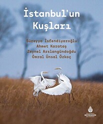 İstanbul’un Kuşları - 1