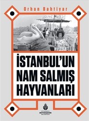 İstanbul’un Nam Salmış Hayvanları - 1