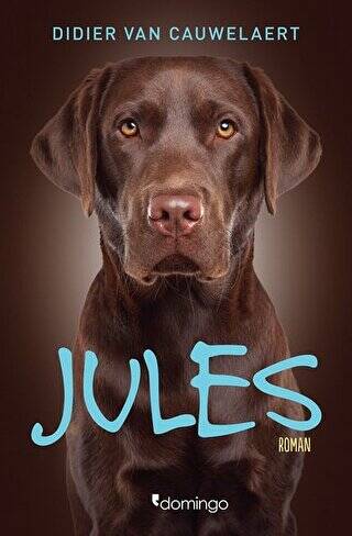 Jules - 1