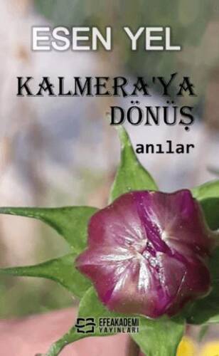 Kalmera`ya Dönüş - 1